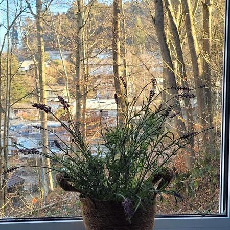 Am Wald Appartement Waldkirch Buitenkant foto