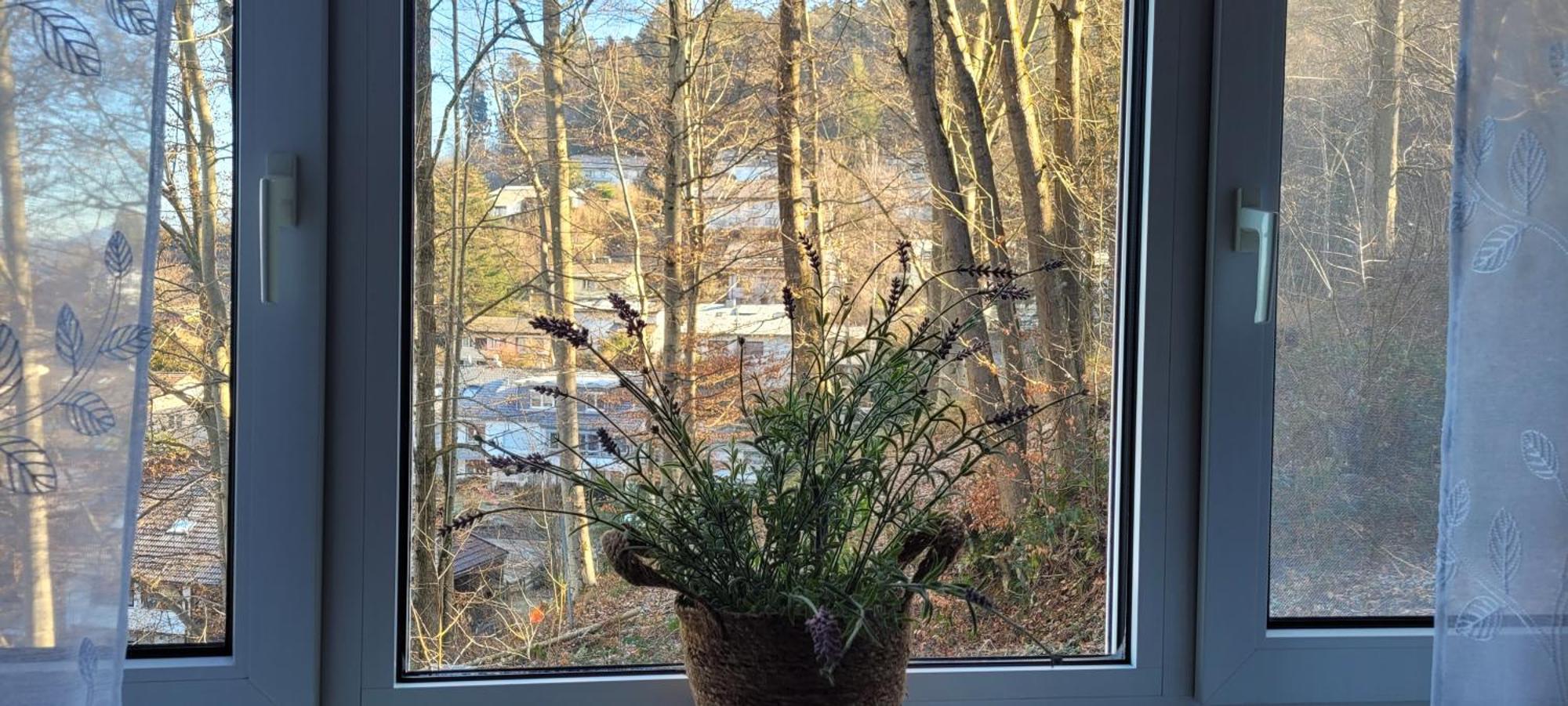 Am Wald Appartement Waldkirch Buitenkant foto