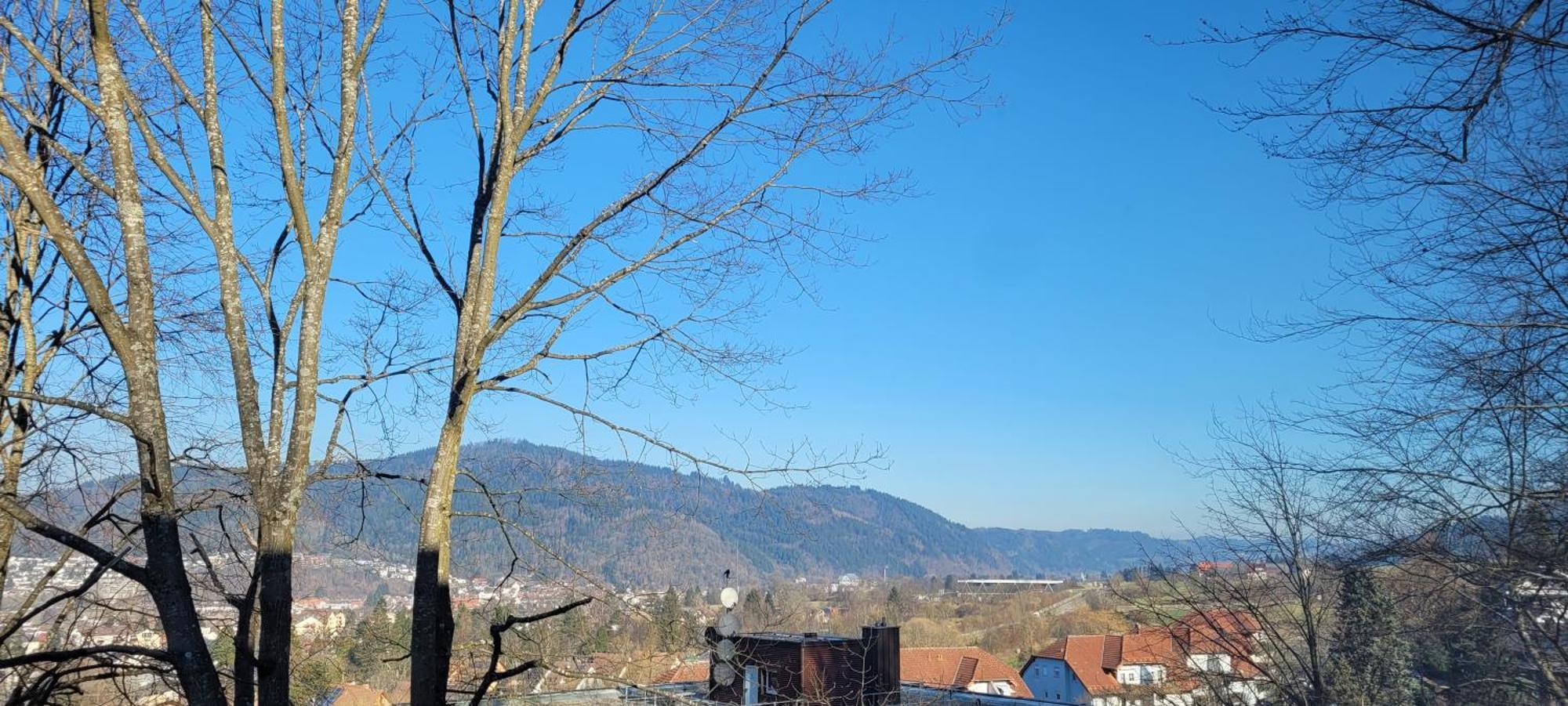 Am Wald Appartement Waldkirch Buitenkant foto